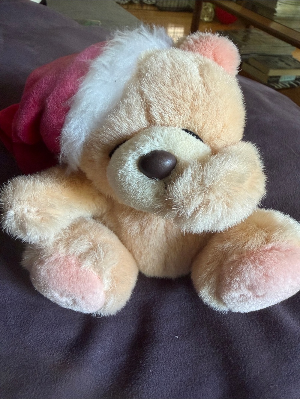 Forever friends bear with Santa hat.